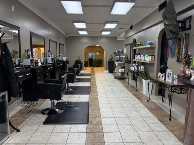 Salon interior